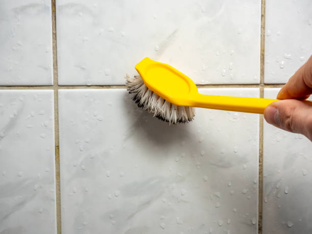 Groves, TX Mold Removal Company