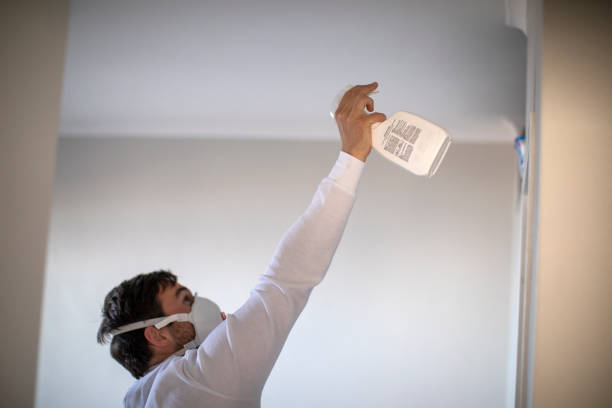 Office Mold Removal Services in Groves, TX